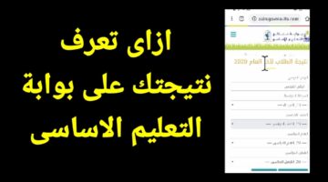 الآن |نتيجة الشهادة الإعدادية محافظة البحر الأحمر بالاسم وبرقم الجلوس 2026