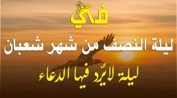 "ليلة مباركة" فضل ليلة النصف من شعبان وأفضل الأدعية المأثورة عن النبي.. حكم صيامها وقيامها