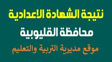 بنسبة نجاح عالية.. نتيجة الشهادة الاعدادية 2026 القليوبية الترم الاول 