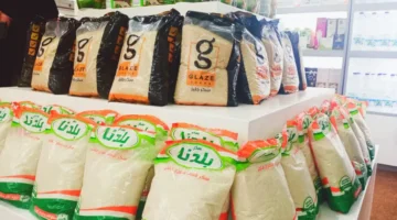 ارتفاع أسعار السكر بعد قرار فتح التصدير في فبراير 2026.. مصدر بالتموين يوضح التفاصيل