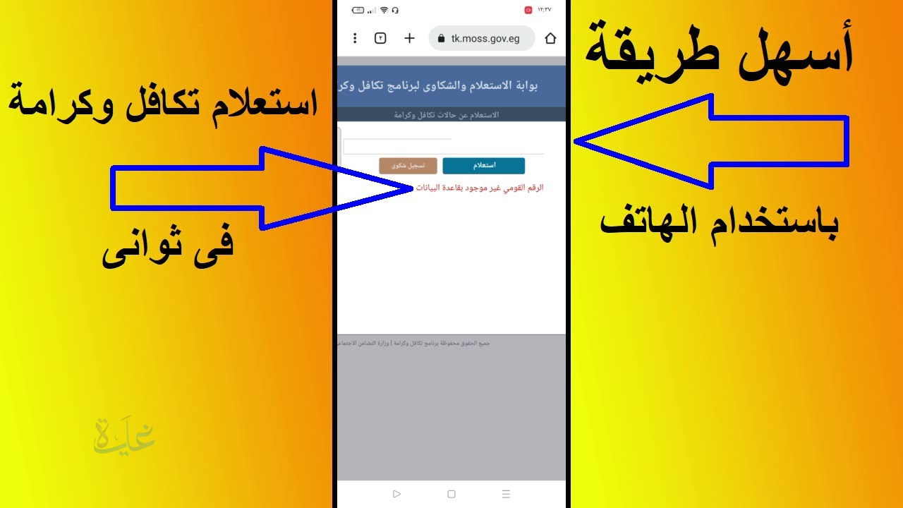 استعلام تكافل وكرامة 2026 بالرقم القومي.. طريقة التحقق من الاستحقاق وقيمة الدعم الشهري