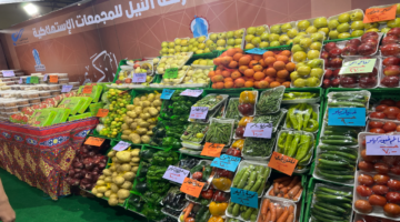 بتخفيضات تصل إلي 20% ... أماكن معارض أهلاً رمضان 2026 في الجيزة