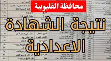 بالاسم ورقم الجلوس.. نتيجة الصف الثالث الإعدادى محافظة القليوبية 2026 