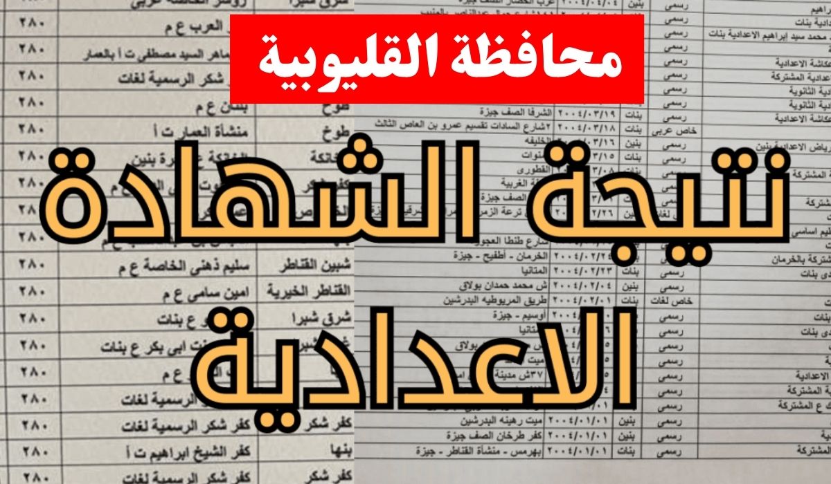 بالاسم ورقم الجلوس.. نتيجة الصف الثالث الإعدادى محافظة القليوبية 2026 