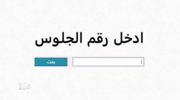 رابط سريييع.. نتيجة الشهادة الاعدادية القليوبية 2026 للدور الأول بعد اعتمادها رسمياً