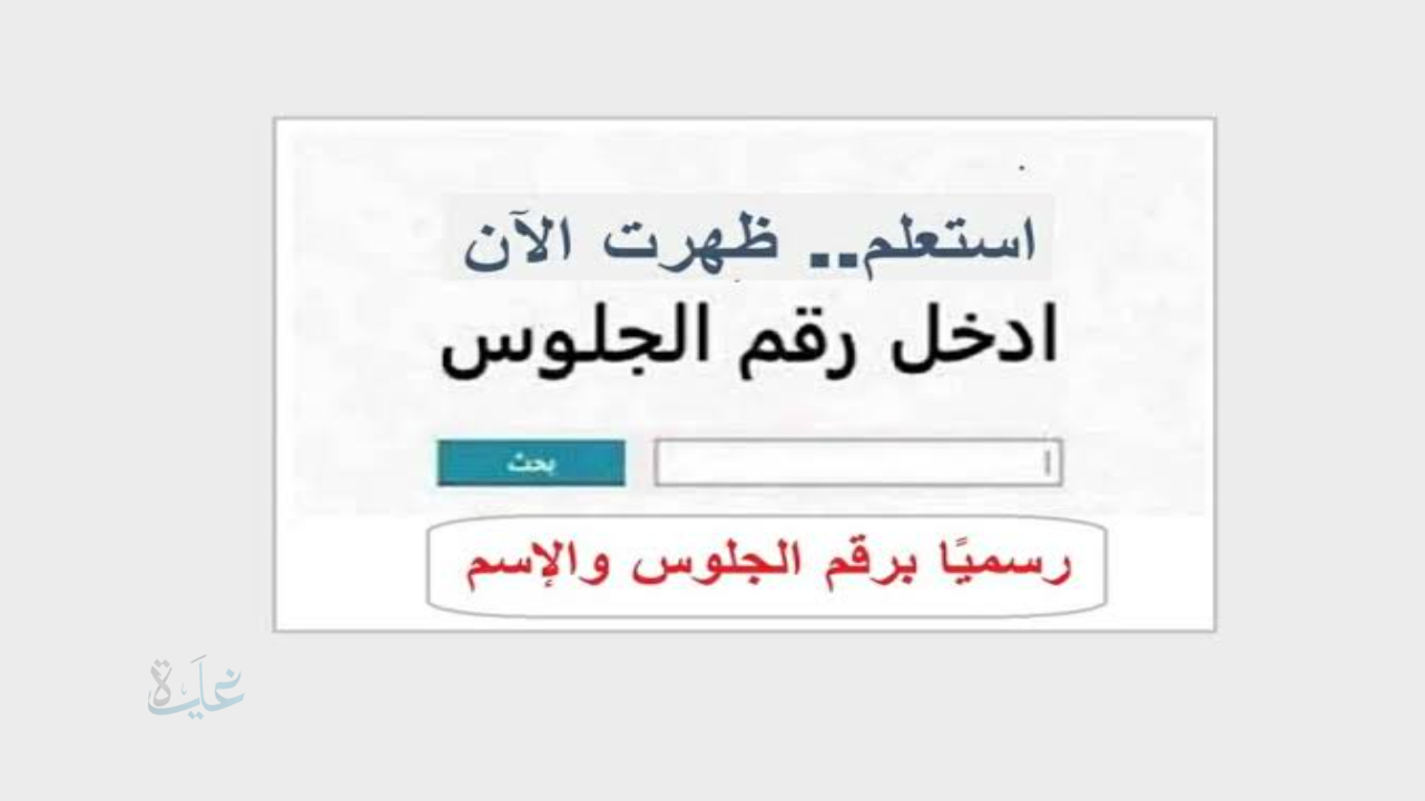 رسمياً..  رابط الاستعلام عن نتيجة الشهادة الإعدادية محافظة القليوبية 2026 بالاسم ورقم الجلوس