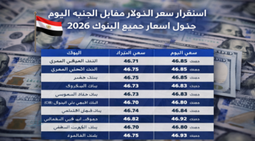 استقرار سعر الدولار مقابل الجنيه المصري في منتصف فبراير 2026