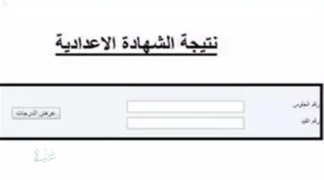 شهاده الصف الثالث الاعدادي محافظه القليوبيه 2026.. لينك شغااال وسريع هنا