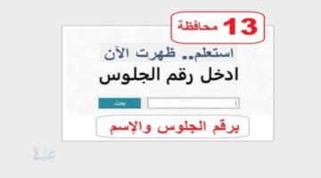 ظهرت الآن رسميا.. نتيجة الصف الثالث الإعدادي 2026 بشمال سيناء برقم الجلوس ونسبة نجاح 80.11%.. الف مبروك