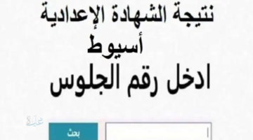نسبة نجاح مرتفعة.. نتيجة الشهادة الإعدادية في محافظة أسيوط 2026 بالاسم ورقم الجلوس 
