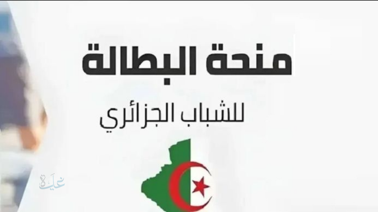 رابط تسجيل منحة البطالة للحصول على دعم شهري عبر الوكالة الوطنية للتشغيل anem.dz