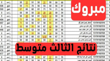 النتيجة ظهرت والكل بيجري يدور عليها.. نتائج الثالث المتوسط الدور التمهيدي 2026 عبر موقع نتائجنا لكل محافظات العراق بالاسم والرقم الامتحاني