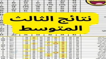 اخيرا ظهرت وبقت بين ايديك، نتائج الثالث المتوسط الدور التمهيدي 2026 pdf عبر موقع نتائجنا لكل محافظات العراق بسهولة وسرعة.