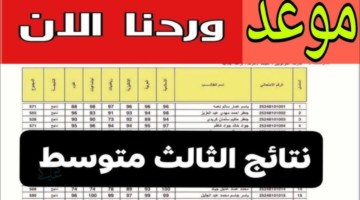 فرحة النجاح قربت تدخل كل بيت عراقي.. نتائج الثالث المتوسط الدور التمهيدي 2026 عبر موقع نتائجنا لجميع المديريات بخطوات بسيطة