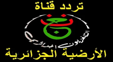 تردد قناة الجزائرية لمباراة الأهلي وشبيبة القبائل اليوم في دوري أبطال أفريقيا