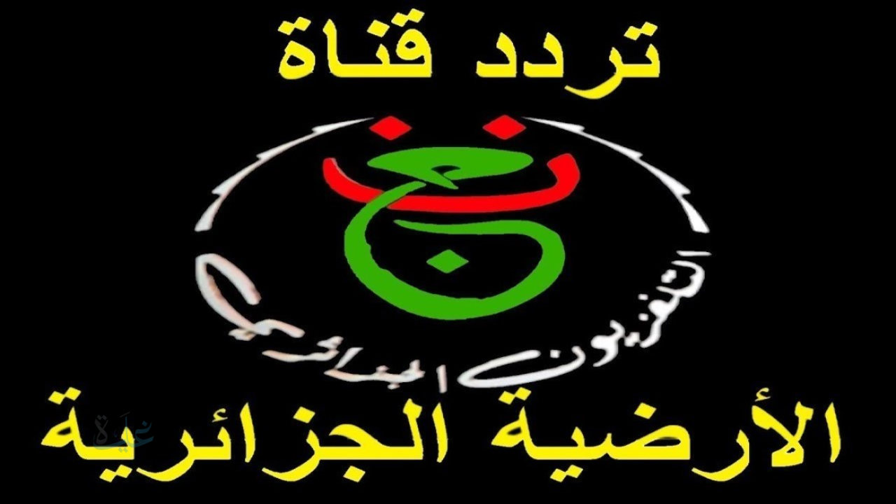 تردد قناة الجزائرية الارضية الناقلة لمباراة الأهلي وشبيبة القبائل اليوم في دوري أبطال أفريقيا