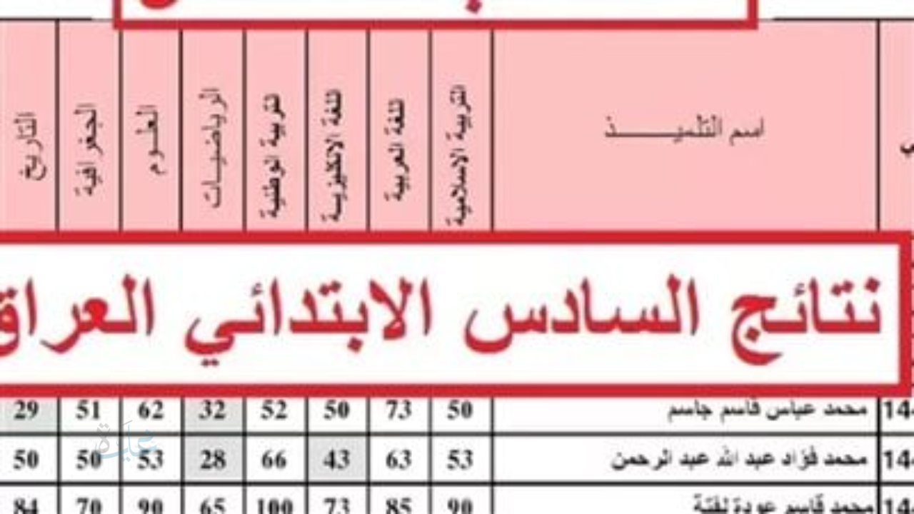 رابط نتائج التمهيدي للصف السادس الابتدائي 2026.. خطوات الاستعلام عبر موقع نتائجنا الرسمي