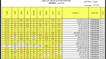 هنا اعرف درجتك دلوقتي.. نتائج الثالث المتوسط الدور التمهيدي 2026 pdf من موقع نتائجنا لكل المحافظات العراقية بخطوات بسيطة وواضحة