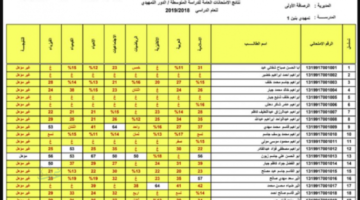 هنا.. نتائج الثالث متوسط 2026 تمهيدي من موقع نتائجنا