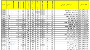 هسه استعلم.. نتائج التمهيدي السادس الابتدائي 2026 موقع نتائجنا وزارة التربية العراقية