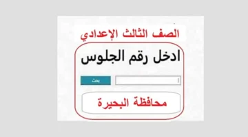 رابط شغال.. ظهور نتيجة الشهادة الإعدادية بالاسم فقط في ثواني