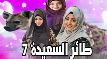 كيف تشارك في مسابقة طائر السعيدة 2026 عبر الموقع الرسمي؟