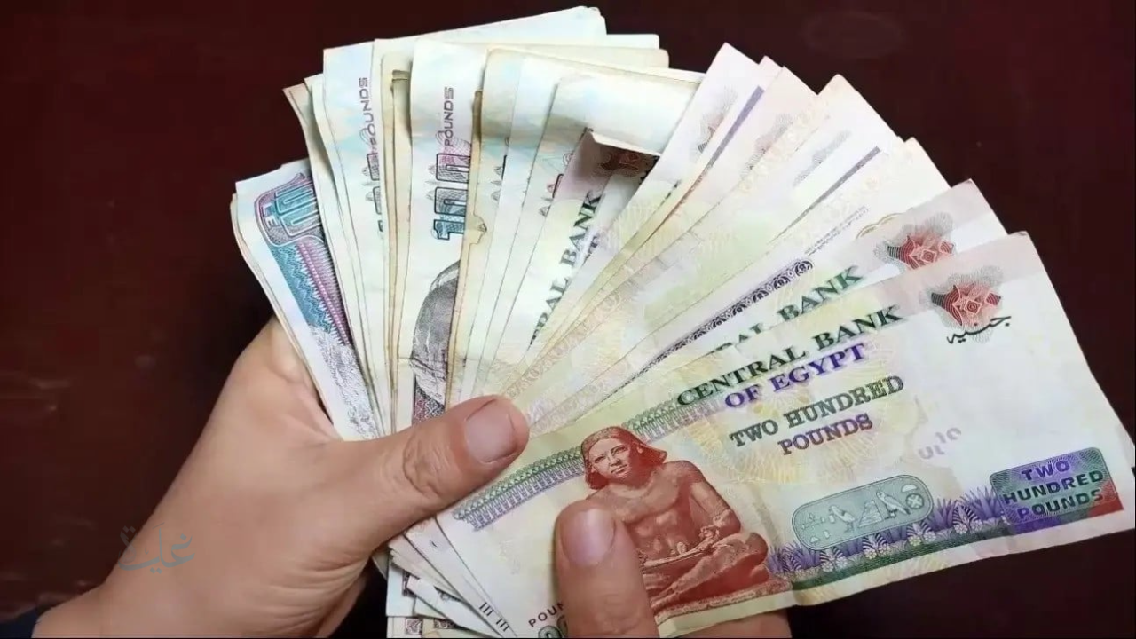 تعرف على موعد صرف منحة العمالة غير المنتظمة رمضان 2026 ورابط الاستعلام عبر وزارة العمل