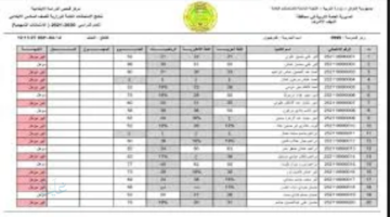 نتائج التمهيدي السادس الابتدائي البصرة 2026 تظهر الآن رسميًا.. استعلم بالاسم والرقم الامتحاني