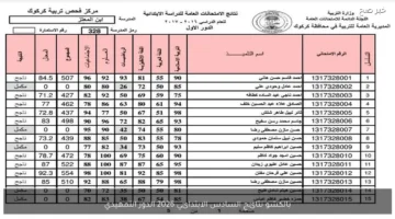حملها PDF بسهولة.. نتائج السادس الابتدائي 2026 الدور التمهيدي عبر موقع نتائجنا الالكتروني