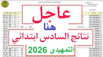 ظهرت توه.. نتائج السادس الابتدائي التمهيدي 2026 عبر موقع نتائجنا