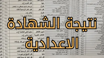 ظهرت ناو.. نتيجة الصف الثالث الاعدادي الترم الاول 2026 محافظة الاسكندرية 