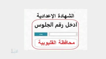 استعلم عن نتيجة الشهادة الإعدادية محافظة القليوبية 2026 برقم الجلوس عبر موقع مديرية التربية والتعليم