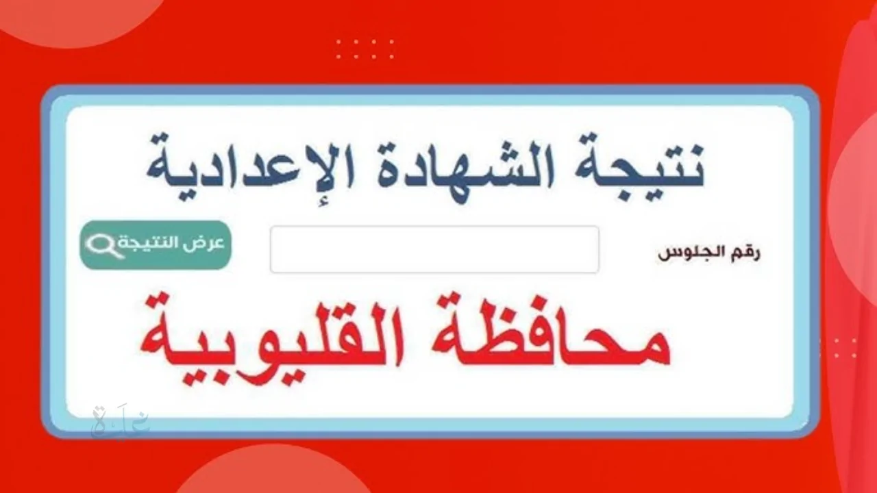 جيب نتيجتك فورا .. نتيجه الشهاده الاعداديه محافظه القليوبيه الترم الاول 2026 برقم الجلوس