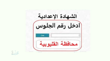 نتائج 3 إعدادية رابط نتيجة الشهادة الاعدادية برقم الجلوس 2026 في القليوبية بعد الإعلان رسميًا