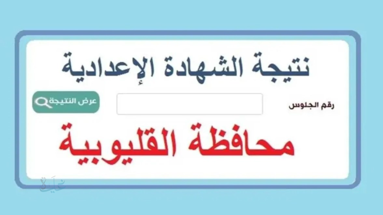 “متاح الان” qalubiaedu.org .. نتيجة الشهادة الإعدادية محافظة القليوبية الترم الأول 2026 بالاسم