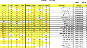 استعلم الان results.mlazemna.com نتائج السادس الابتدائي التمهيدي 2026 العراق بالرقم الامتحاني