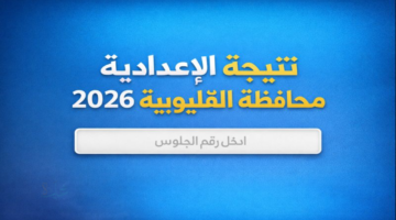 نسبة نجاح تتخطى 83%.. رابط سريع نتيجة الشهادة الإعدادية 2026 القليوبية برقم الجلوس