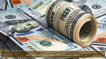 استقرار سعر الدولار فى البنوك المصريه اليوم / الثلاثاء24 مارس 2026