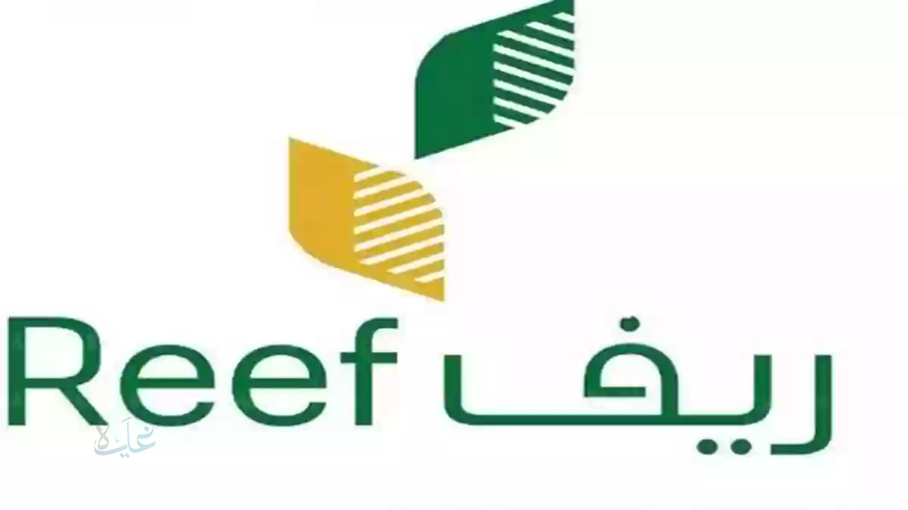 خطوات التسجيل في دعم ريف 1447.. الشروط الكاملة ورابط التقديم وموعد الصرف