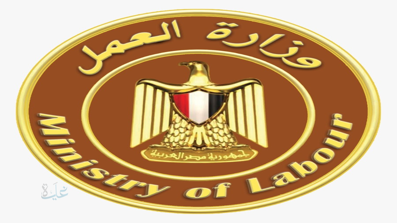 برواتب مجزية ومزايا متعددة.. تفاصيل 360 فرصة عمل أعلنتها وزارة العمل المصرية في مارس 2026