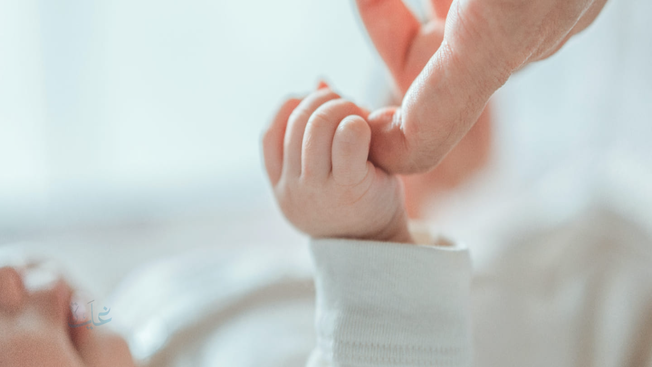 رابط حجز موعد تسجيل المواليد الأجانب عبر منصة أبشر 2026