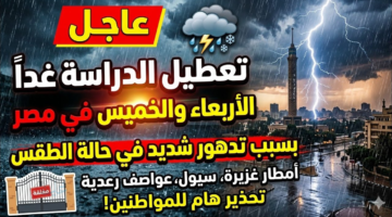 حقيقة إجازة الأربعاء والخميس.. بيان رسمي يكشف التفاصيل