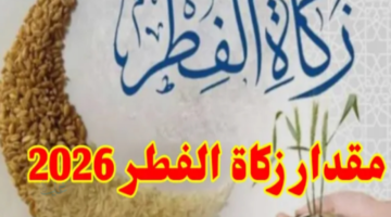كيفية دفع زكاة الفطر 2026 إلكترونياً خطوة بخطوة عبر المنصات والمواقع الرسمية