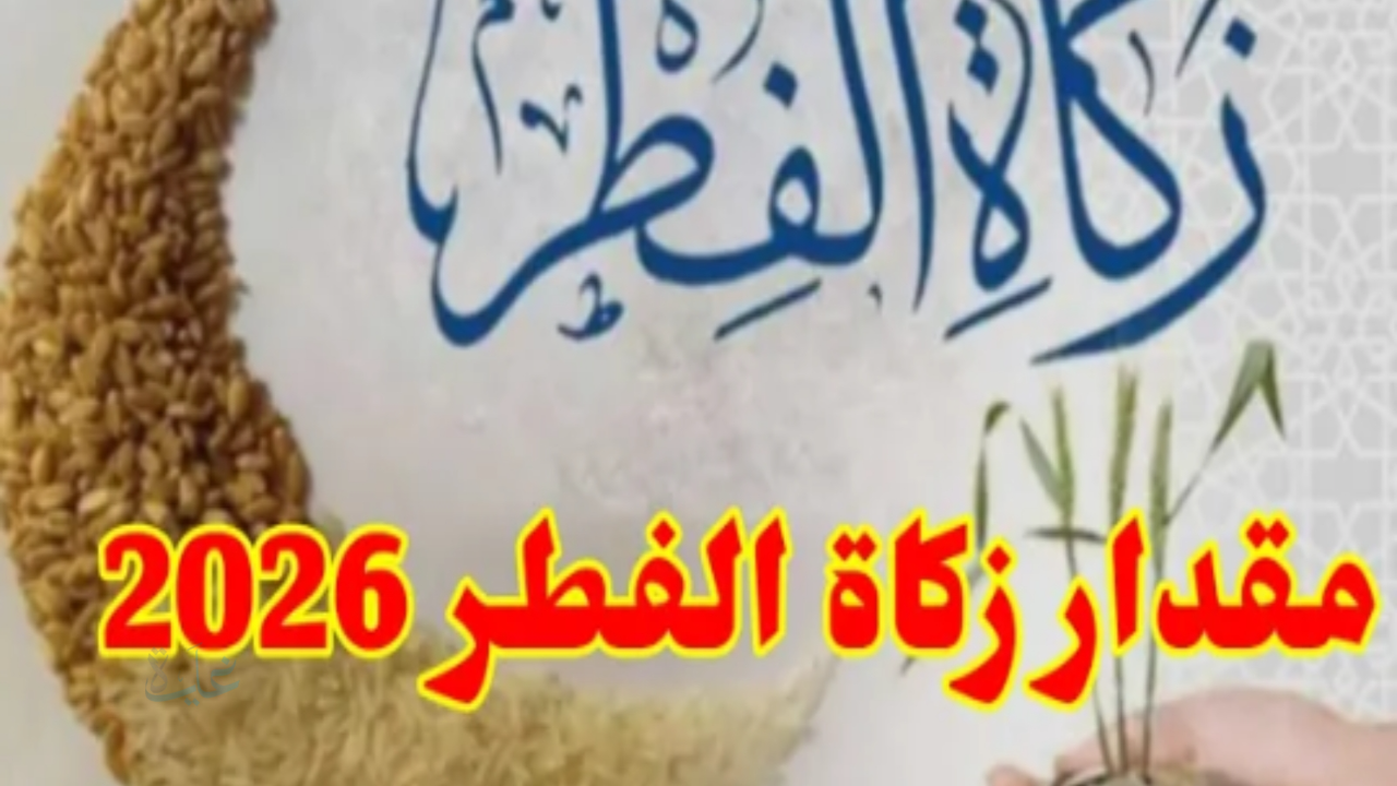 كيفية دفع زكاة الفطر 2026 إلكترونياً خطوة بخطوة عبر المنصات والمواقع الرسمية