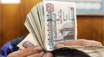 صرف منحة إضافية لأصحاب المعاشات 2026 وتفاصيل الزيادة السنوية