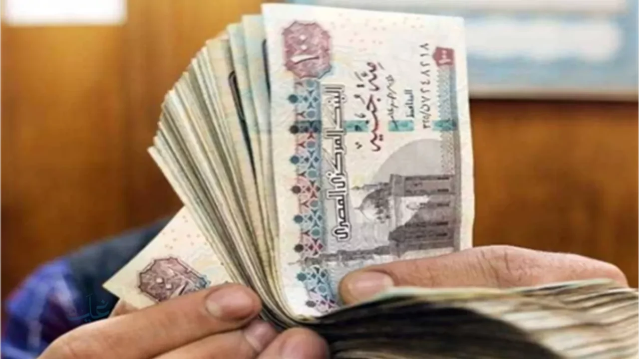 صرف منحة إضافية لأصحاب المعاشات 2026 وتفاصيل الزيادة السنوية