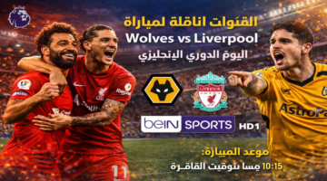 Wolves vs Liverpool .. ما هى القنوات الناقلة لمباراة ليفربول ضد وولفرهامبتون ؟