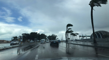 كيف ستكون حالة الطقس في مصر خلال الأيام القادمة؟ موعد تحسن الطقس ودرجات الحرارة المتوقعة