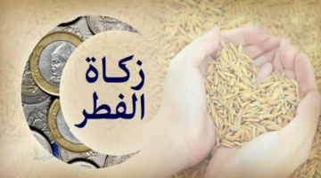 كم مقدار زكاة عيد الفطر 2026؟ دار الأفتاء تجيب على كل التفاصيل وآخر موعد لإخراجها