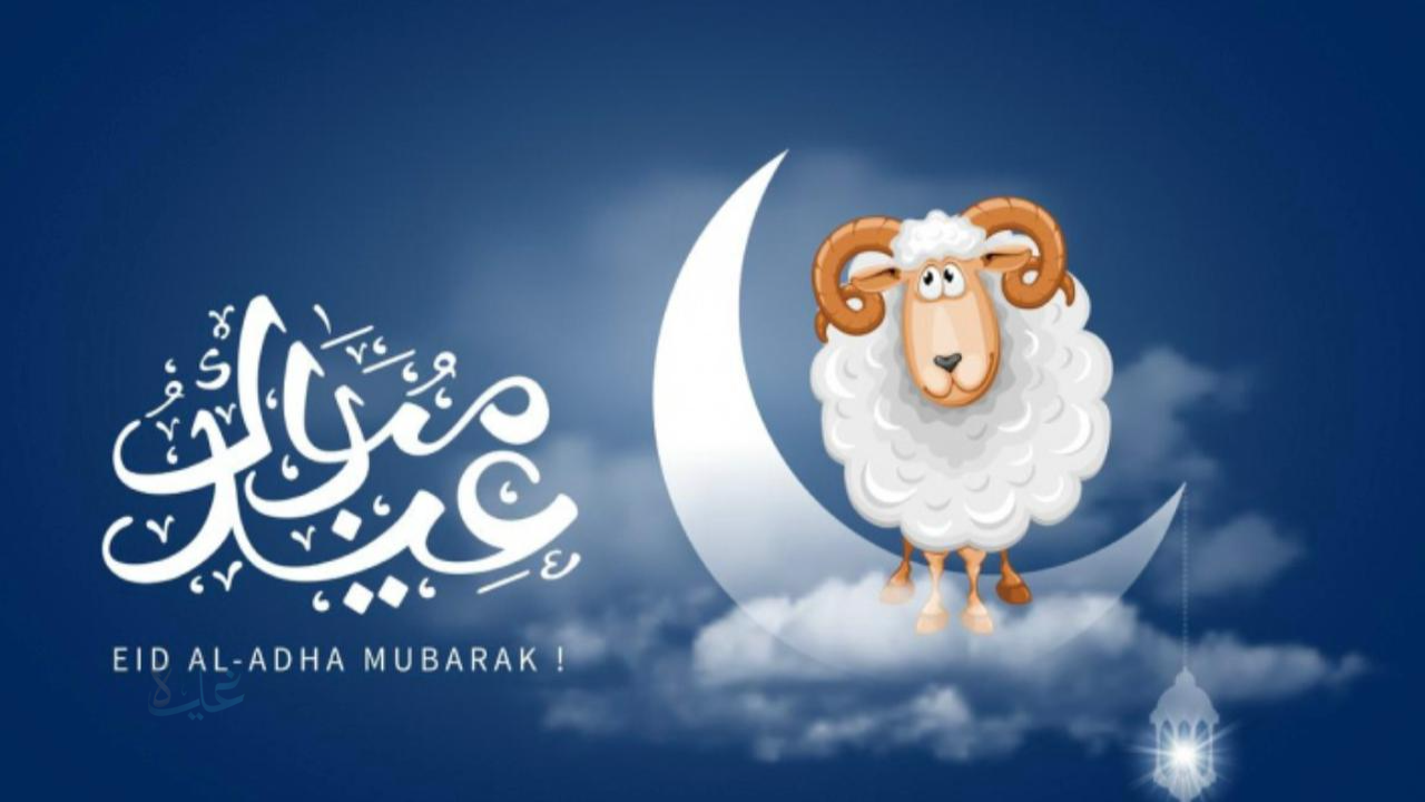 الحسابات الفلكية تكشف موعد وقفة عرفات وعيد الأضحى 2026 رسميًا في مصر والدول العربية